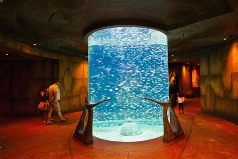 atlantis hotel dubai aquarium